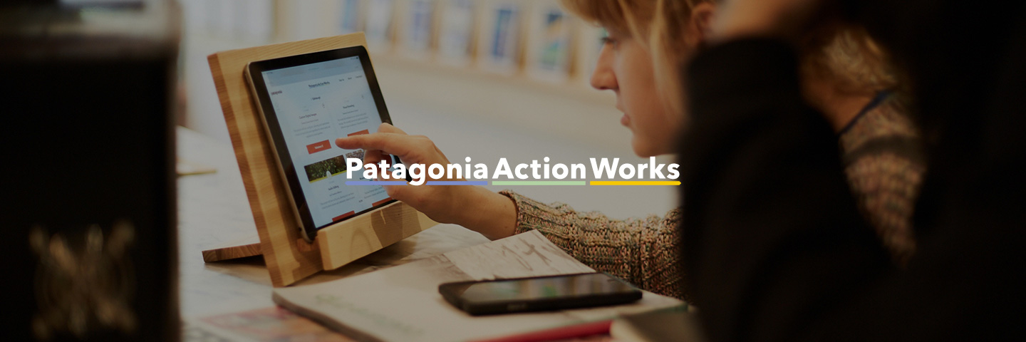 patagonia action works intiative
